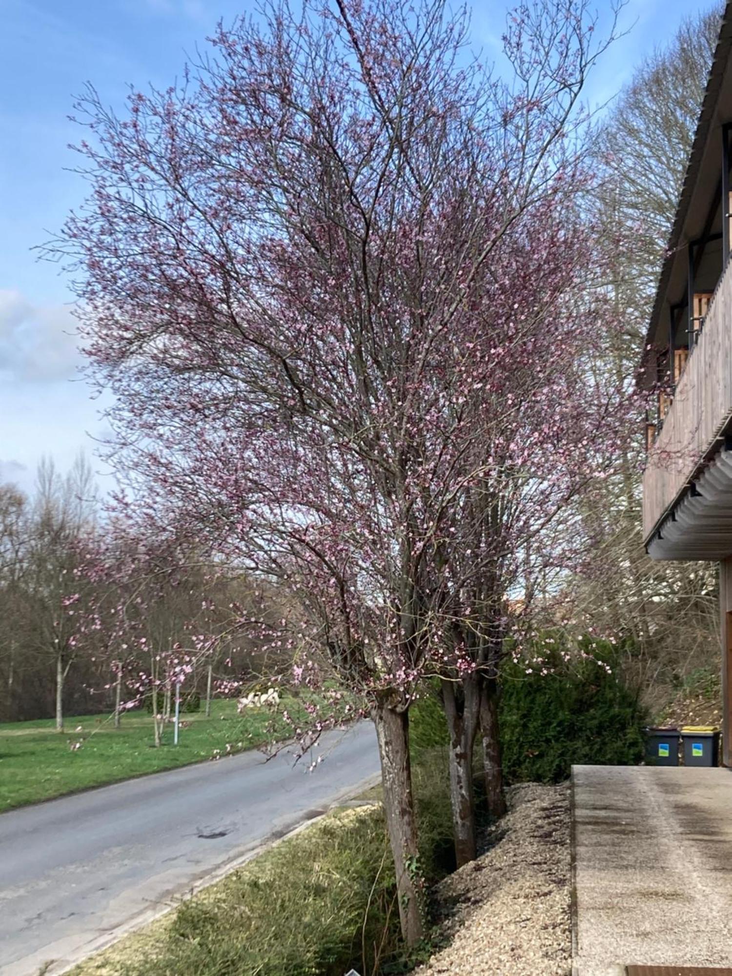 Logis Hotel Les Tilleuls Bruere-Allichamps Dış mekan fotoğraf